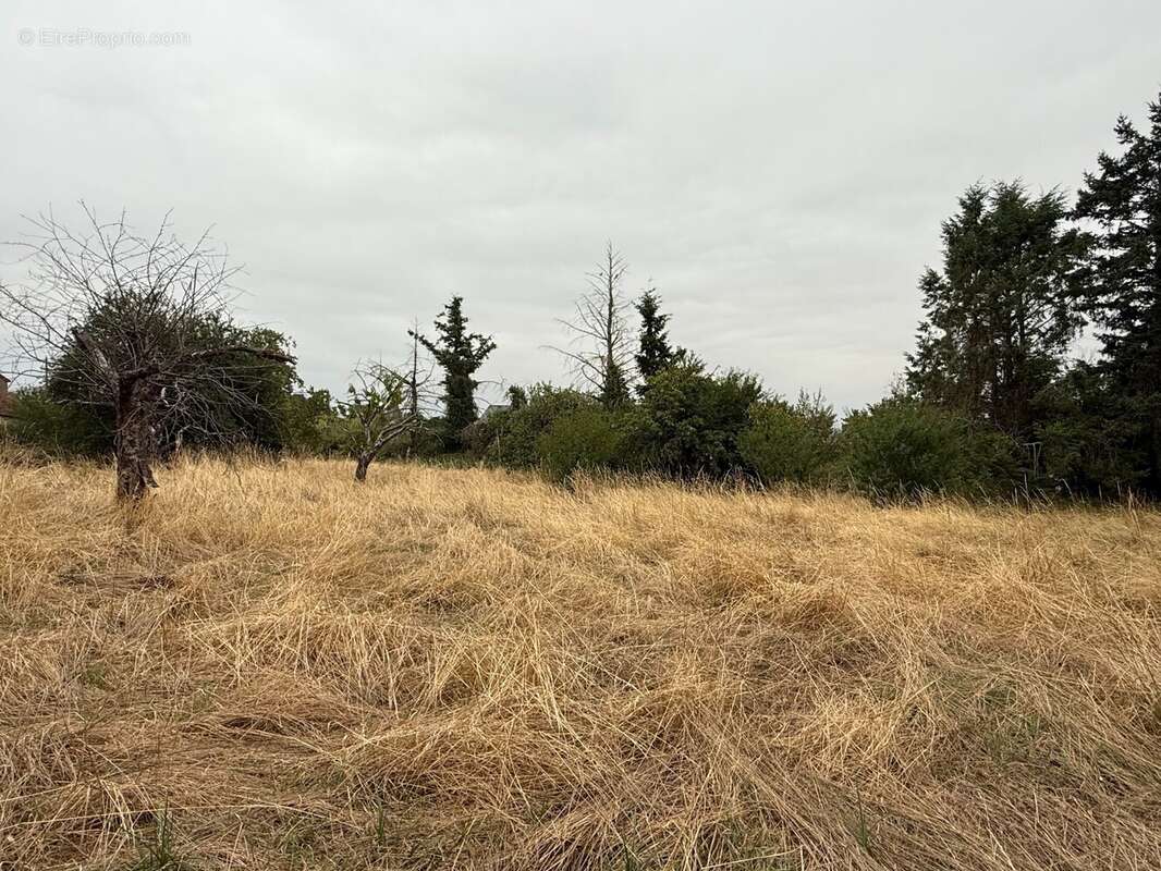 Terrain à VERNEUIL-SUR-IGNERAIE