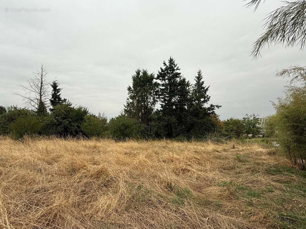 Terrain à VERNEUIL-SUR-IGNERAIE