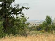 Terrain à VERNEUIL-SUR-IGNERAIE