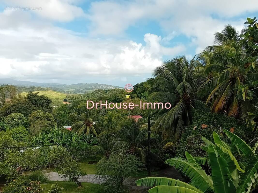 Appartement à LE ROBERT