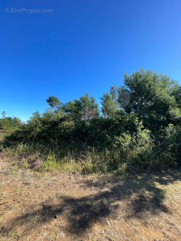 Terrain à LA POSSESSION