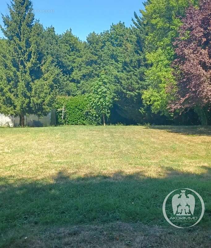 Terrain à CREUZIER-LE-VIEUX