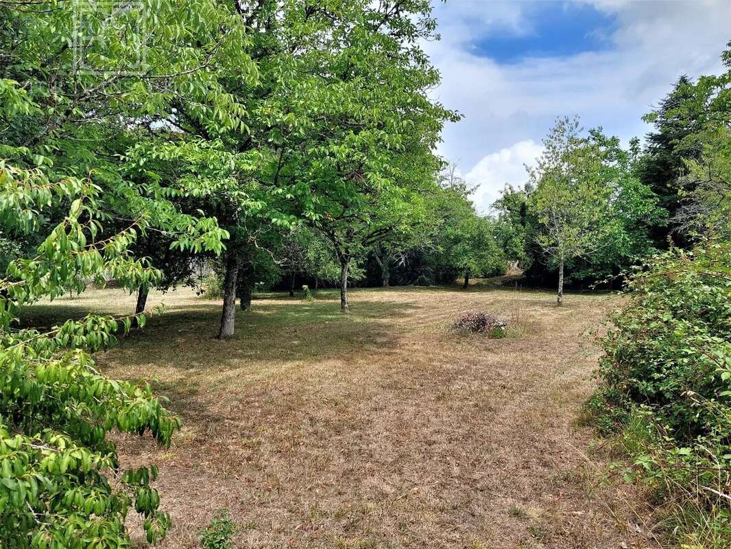 Maison à SAINT-FRONT-LA-RIVIERE
