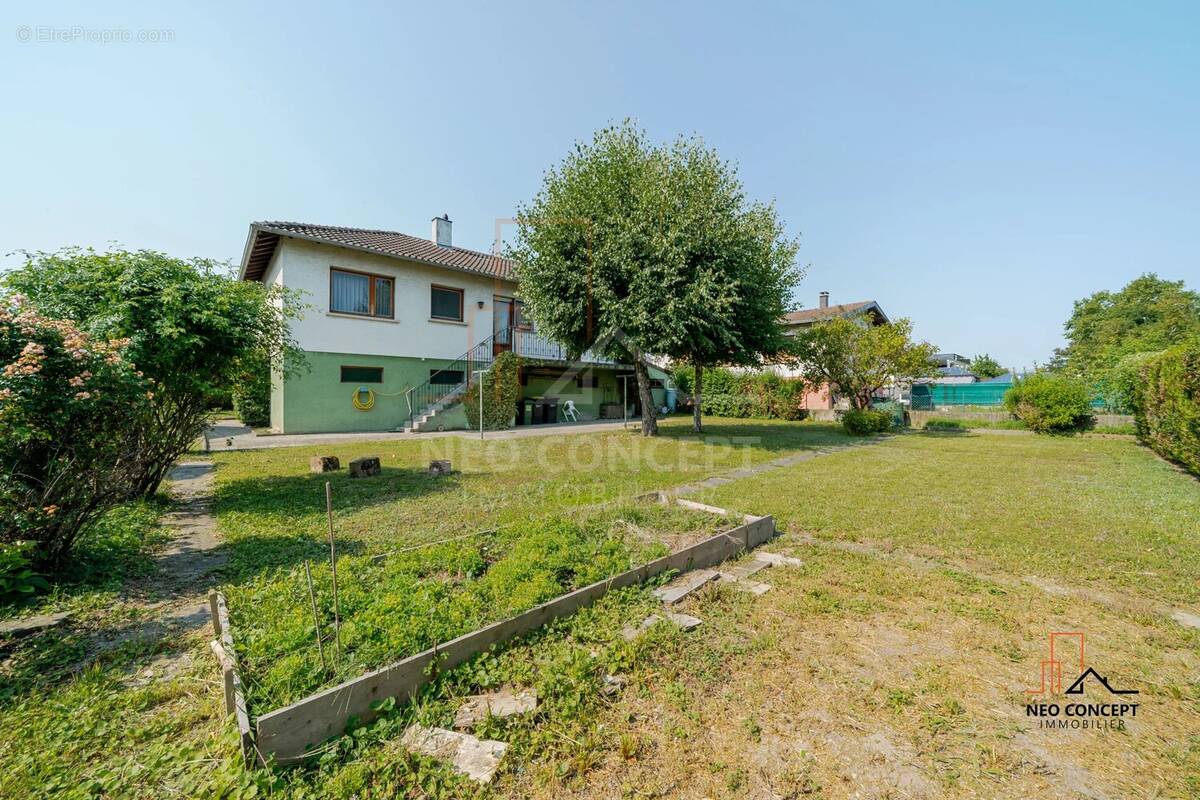 Maison à DRUSENHEIM