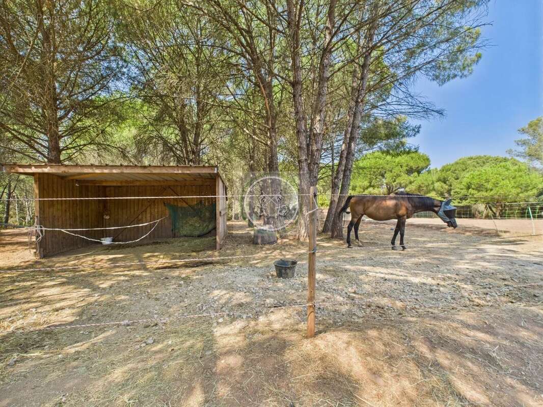Maison à PUGET-SUR-ARGENS