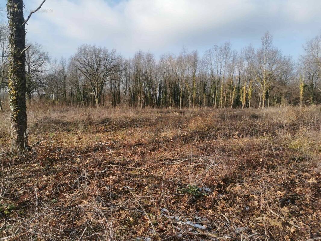 Terrain à SAINT-ETIENNE-DE-VICQ