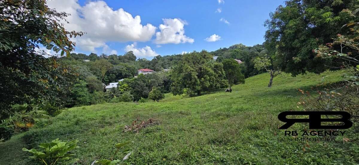 Terrain à LE ROBERT