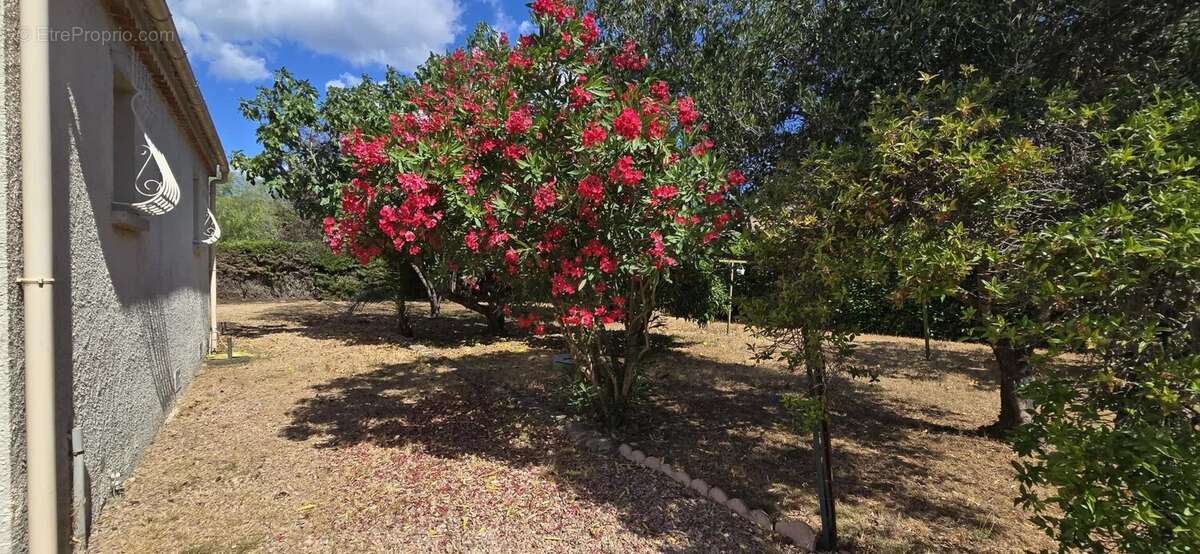 Maison à GHISONACCIA