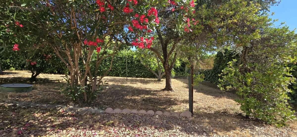 Maison à GHISONACCIA