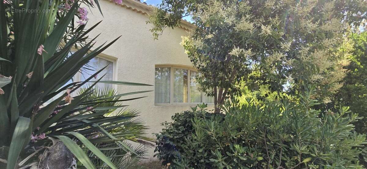 Maison à GHISONACCIA