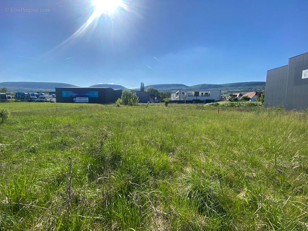 Terrain à HATTSTATT