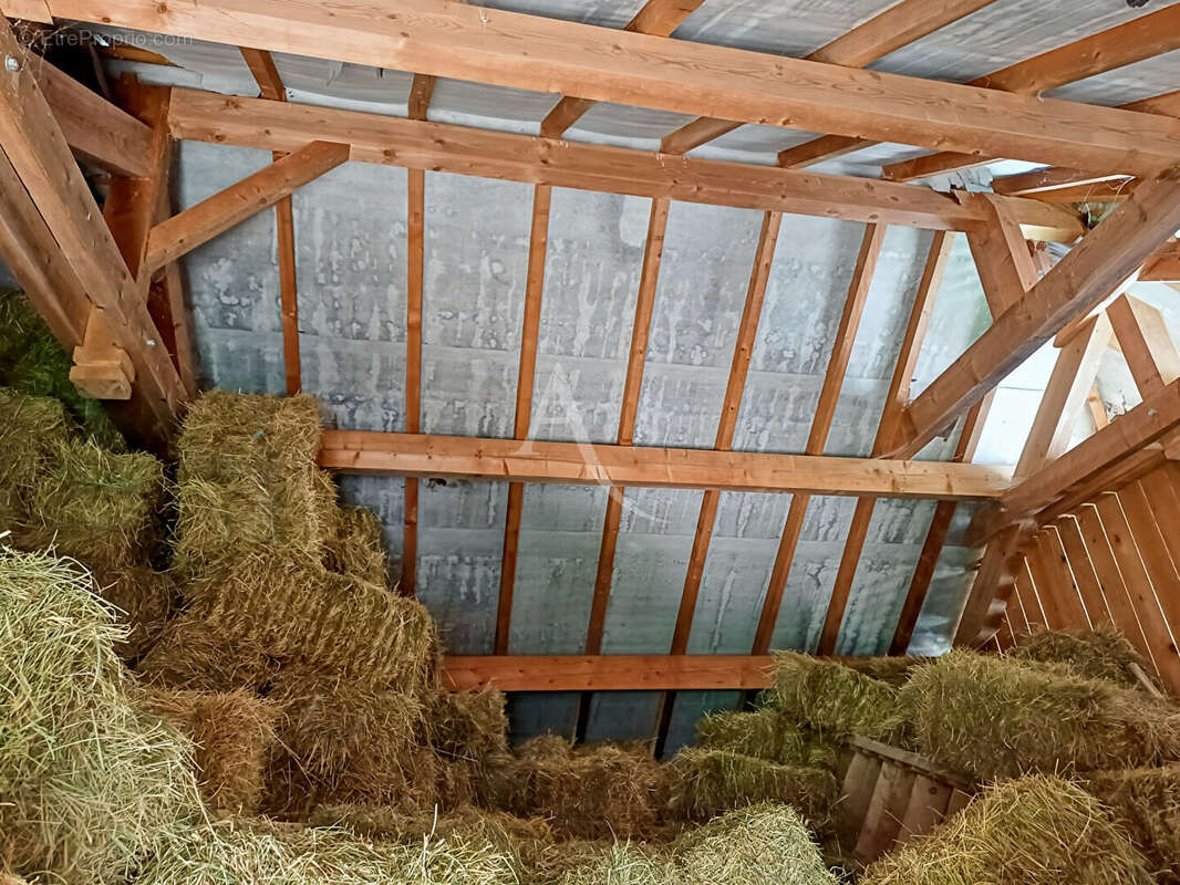 Maison à SAINT-FRANCOIS-DE-SALES