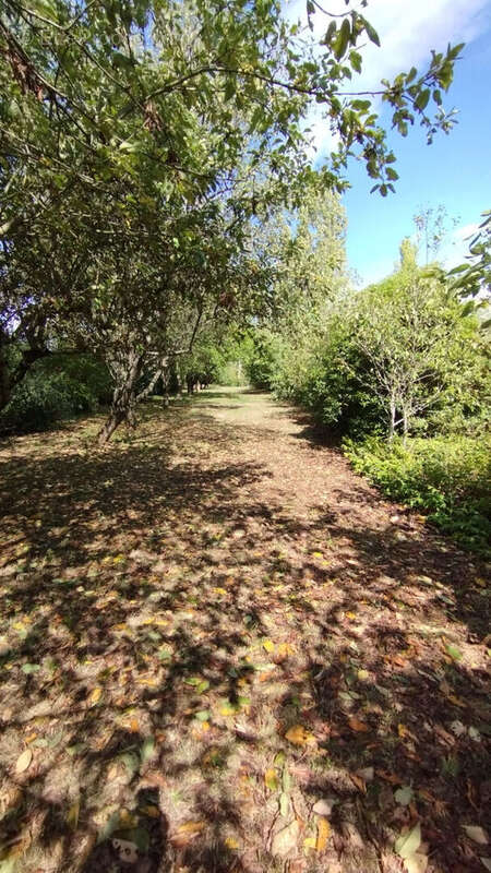 Maison à YZEURES-SUR-CREUSE