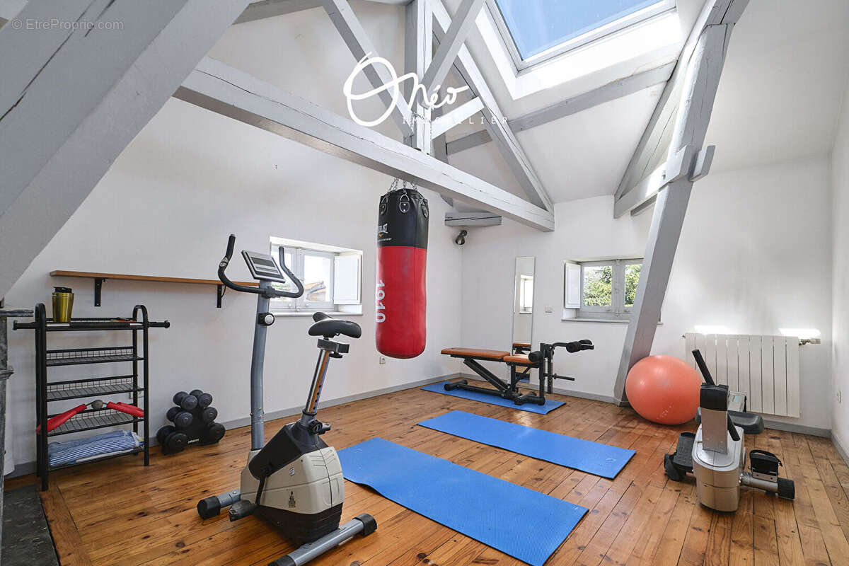 Maison à SAINT-SYMPHORIEN-D&#039;OZON