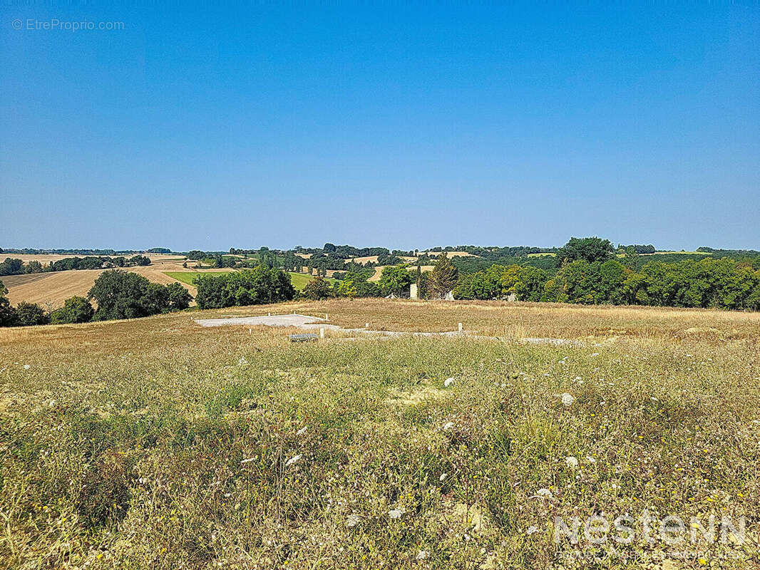 Terrain à CASTELNAU-SUR-L&#039;AUVIGNON