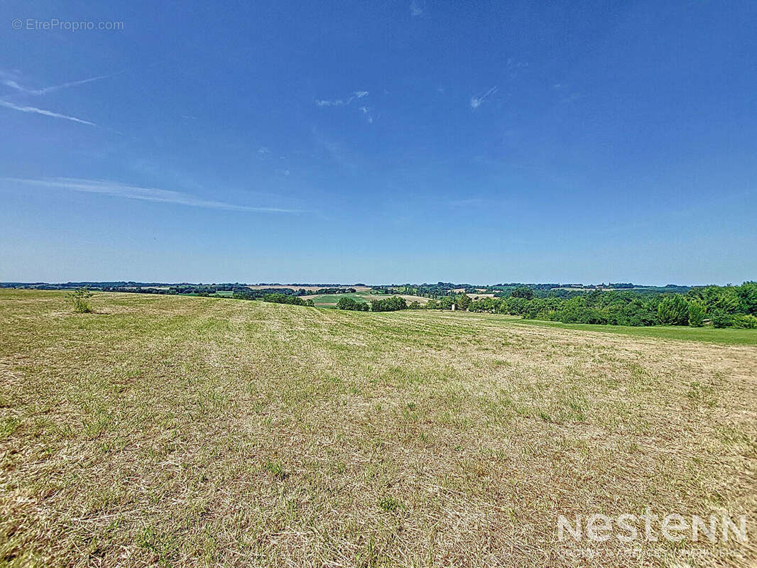 Terrain à CASTELNAU-SUR-L&#039;AUVIGNON