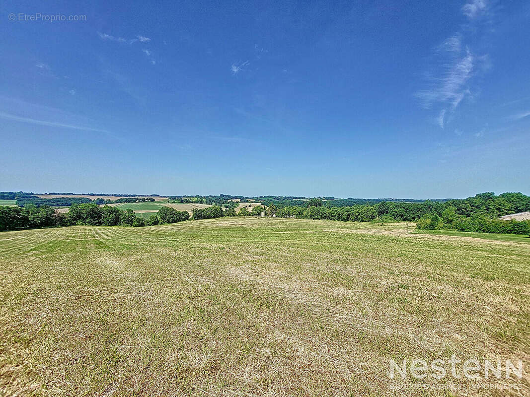 Terrain à CASTELNAU-SUR-L&#039;AUVIGNON