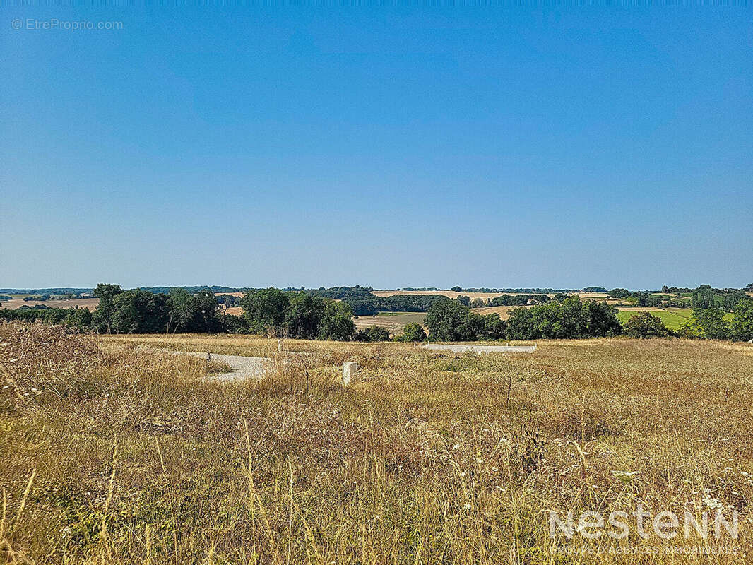 Terrain à CASTELNAU-SUR-L&#039;AUVIGNON