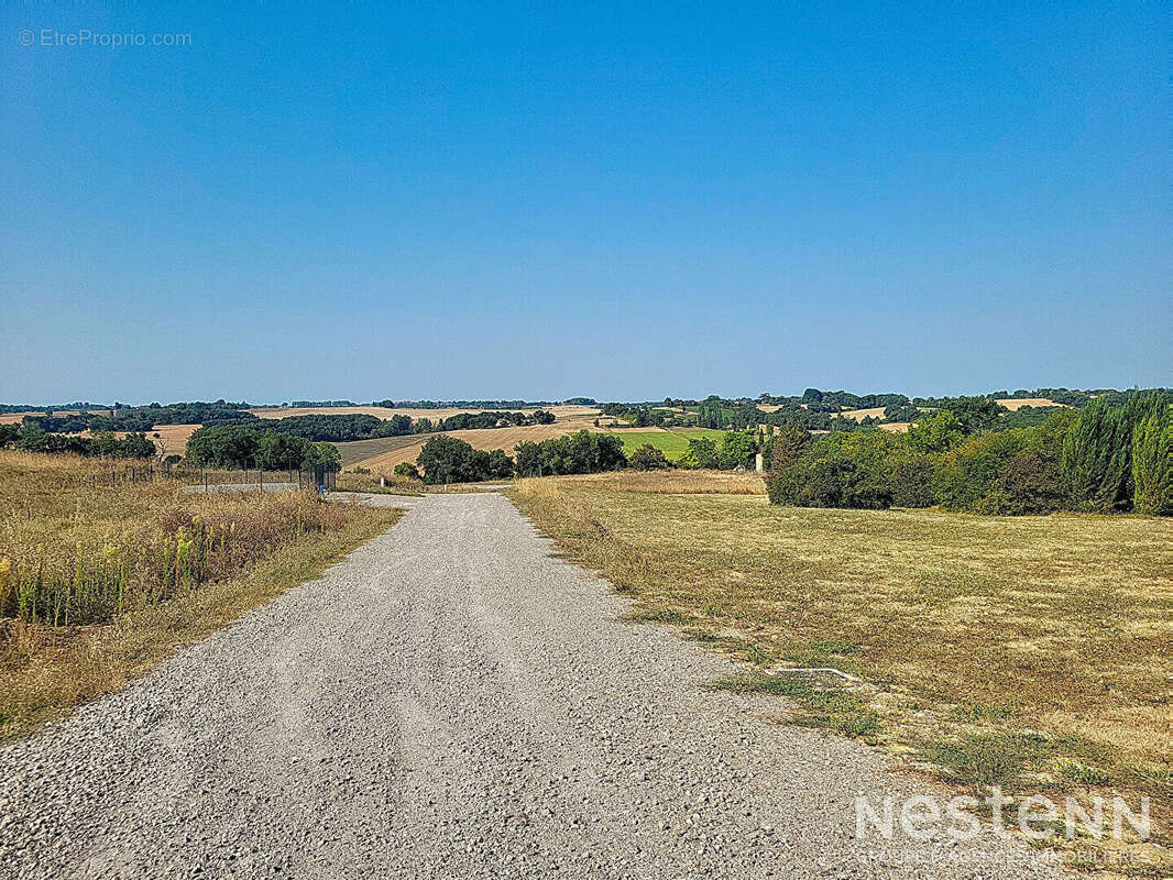 Terrain à CASTELNAU-SUR-L&#039;AUVIGNON