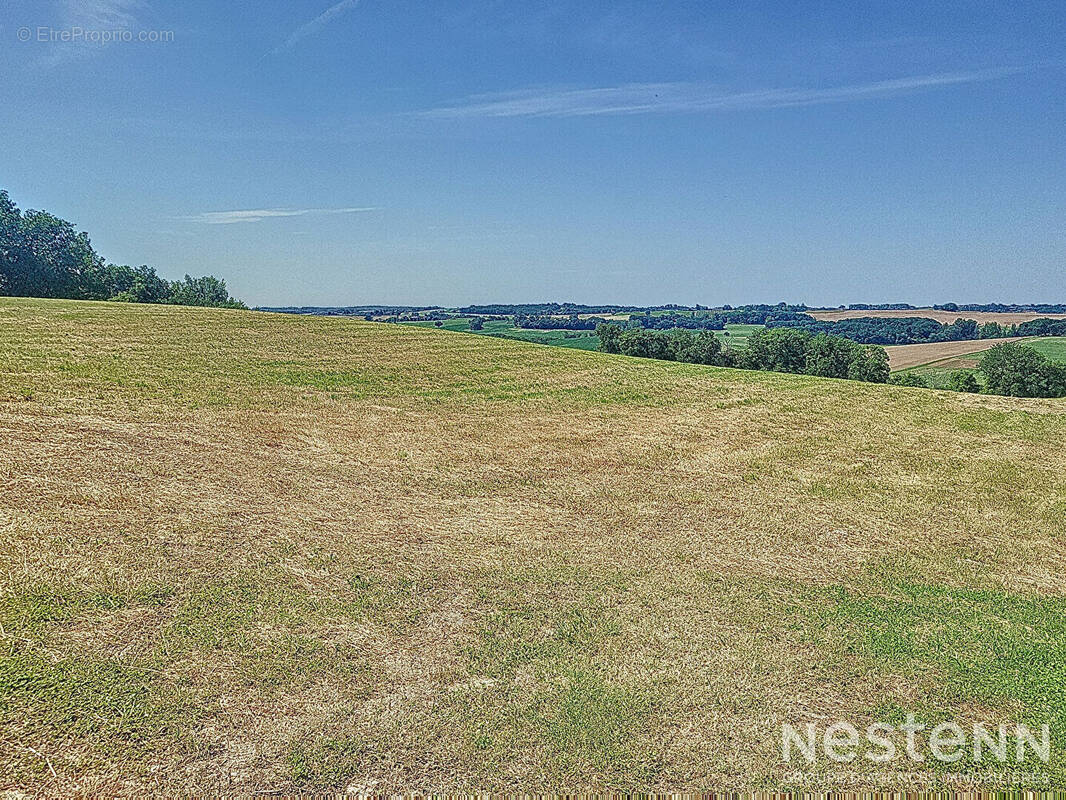 Terrain à CASTELNAU-SUR-L&#039;AUVIGNON