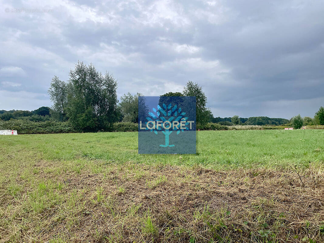 Terrain à LOCQUIGNOL