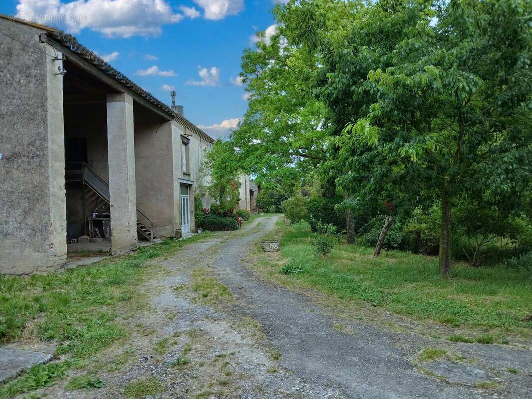 Photo 6 - Maison à CASTELNAUDARY