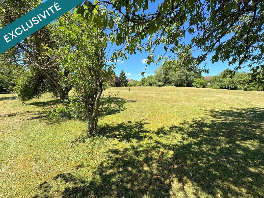 Photo 2 - Terrain à CUISEAUX