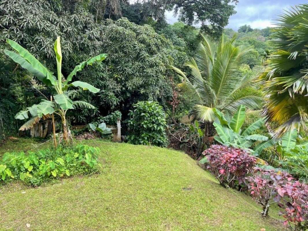 Photo 4 - Maison à SAINT-JOSEPH