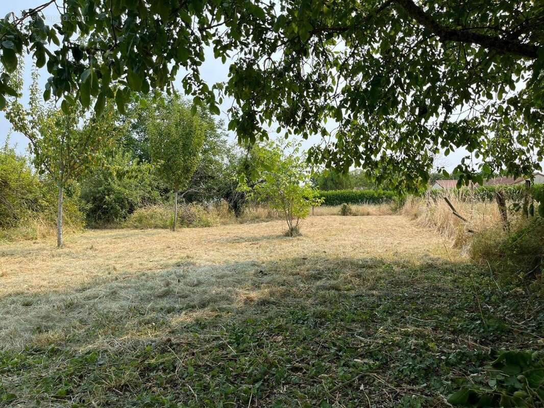 Photo 7 - Maison à EFFIAT