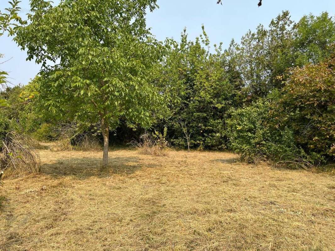 Photo 8 - Maison à EFFIAT