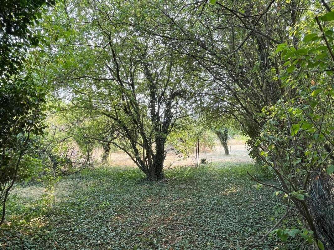 Photo 9 - Maison à EFFIAT