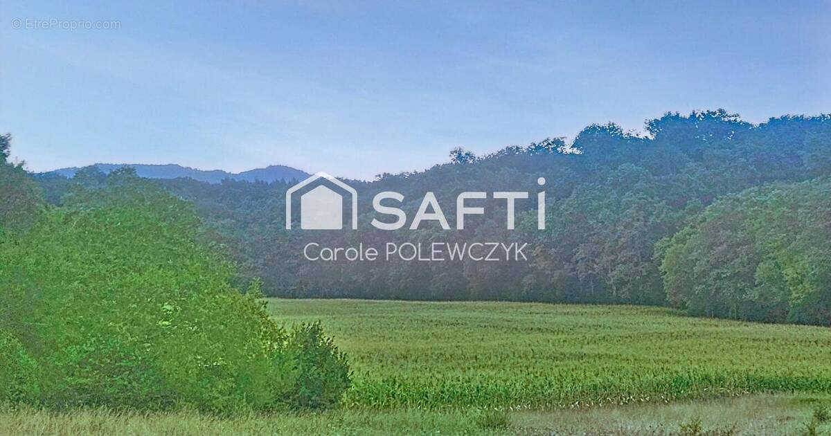 Photo 1 - Terrain à LES PUJOLS