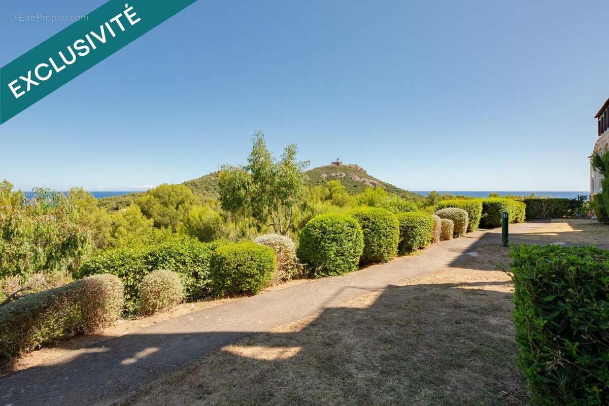 Photo 9 - Appartement à LA SEYNE-SUR-MER