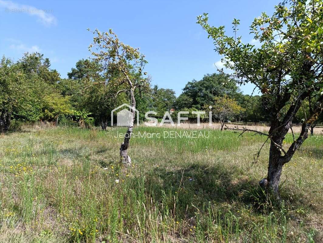Photo 6 - Terrain à CHINON