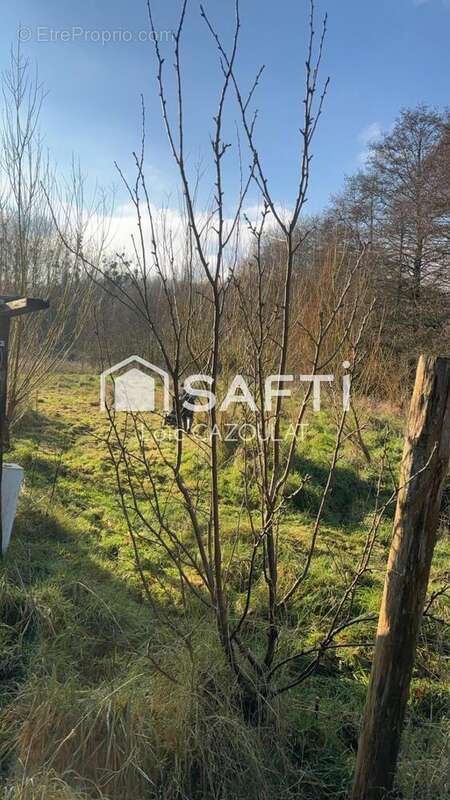 Photo 8 - Maison à BALAZE