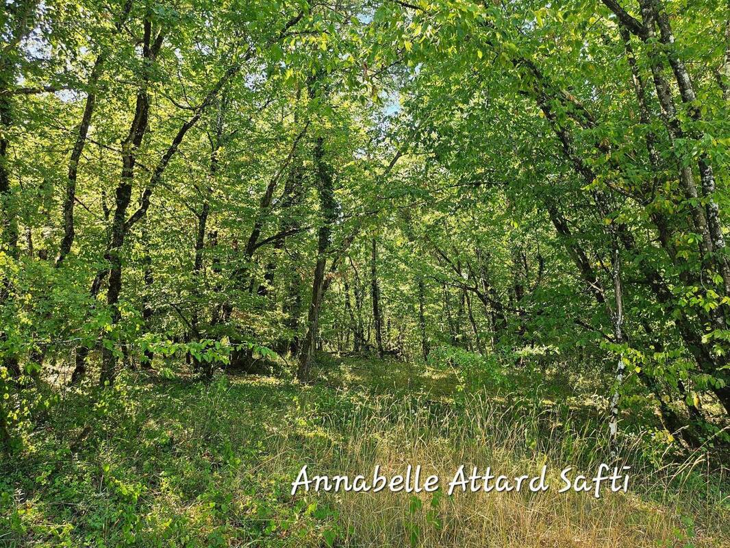 Photo 1 - Terrain à SORGES