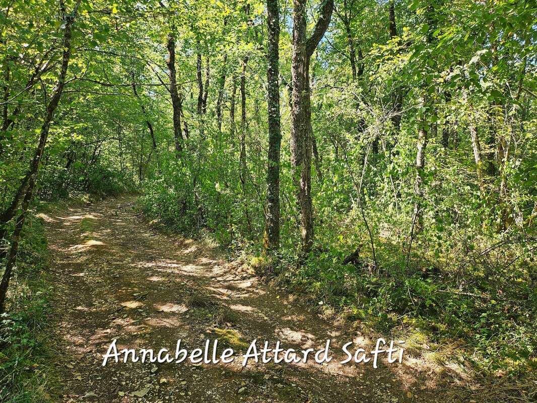 Photo 2 - Terrain à SORGES