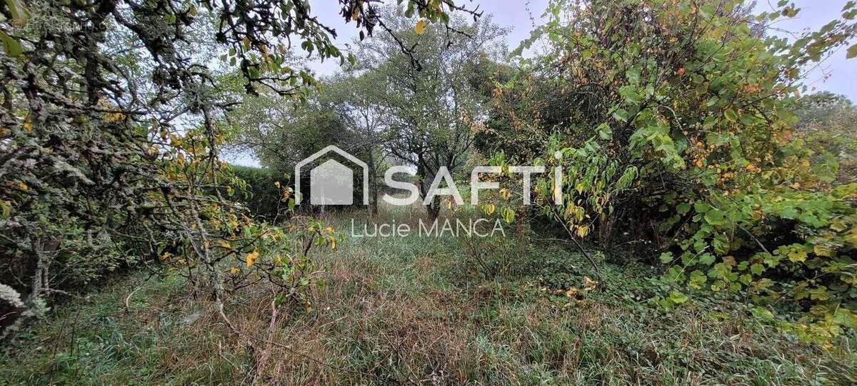 Photo 4 - Maison à SAINT-EUSEBE