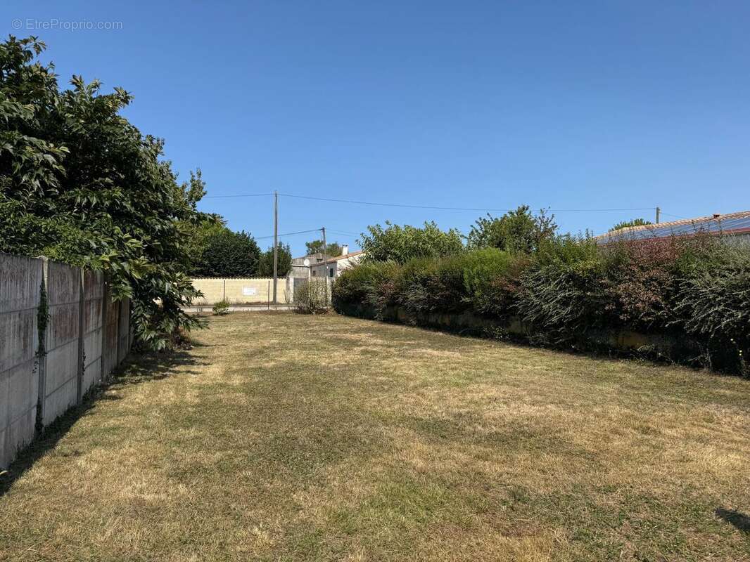 Photo 2 - Terrain à MARENNES