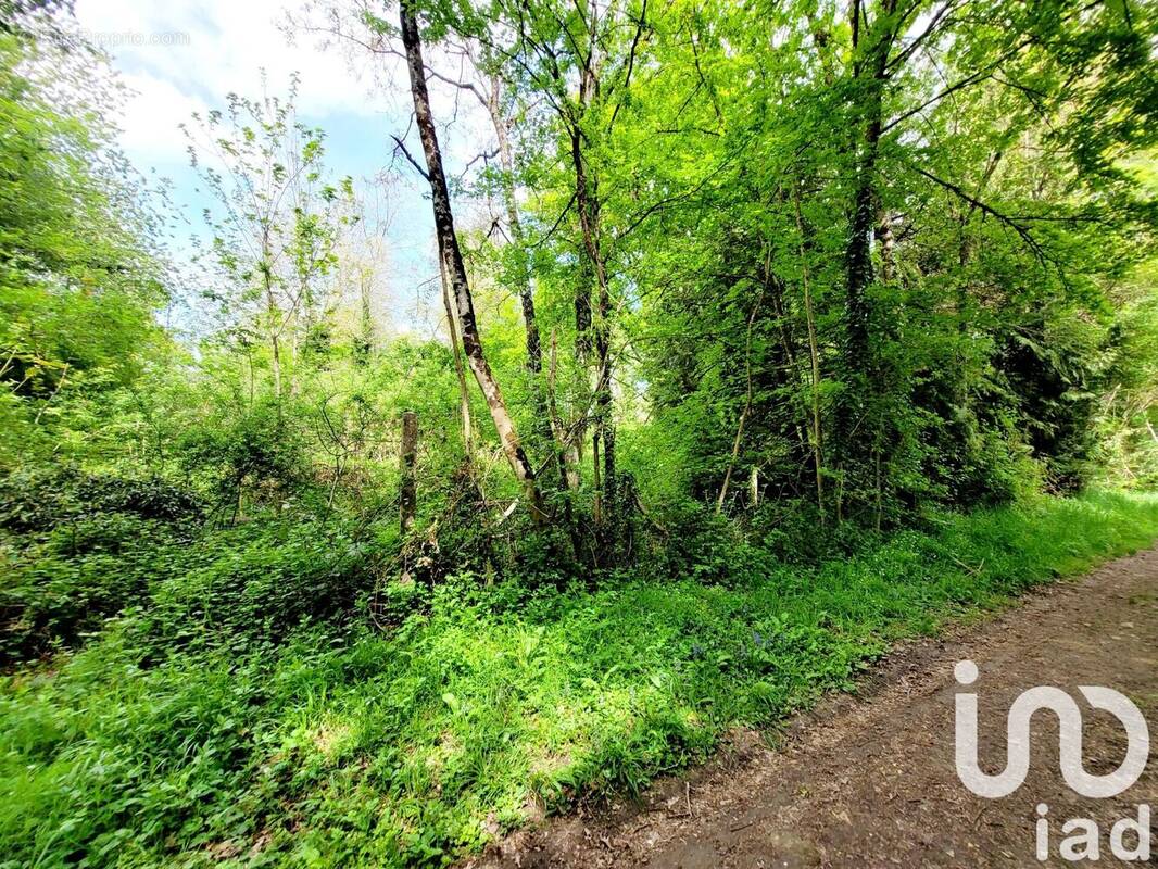 Photo 1 - Terrain à VILLENEUVE-SUR-BELLOT