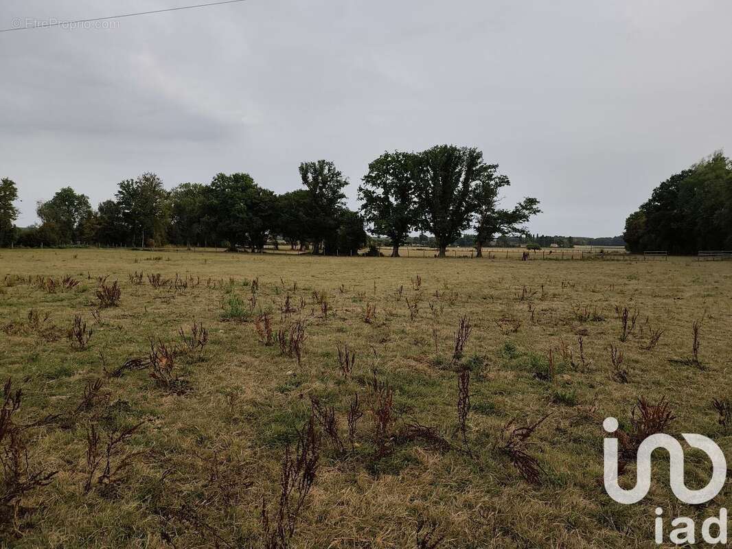 Photo 4 - Maison à SAINT-NICOLAS-DES-BOIS