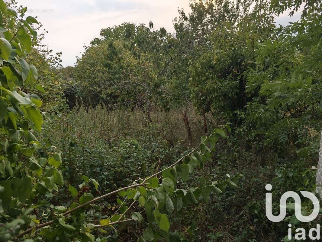 Photo 5 - Maison à SAINT-NICOLAS-DES-BOIS