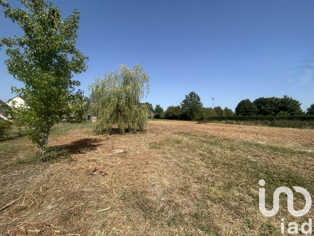 Photo 1 - Terrain à SAINT-VIATRE