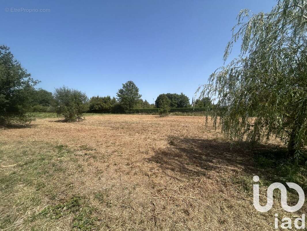 Photo 2 - Terrain à SAINT-VIATRE