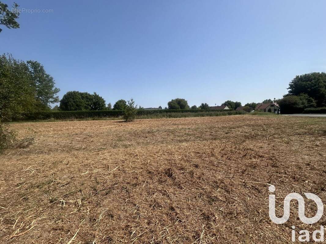 Photo 4 - Terrain à SAINT-VIATRE