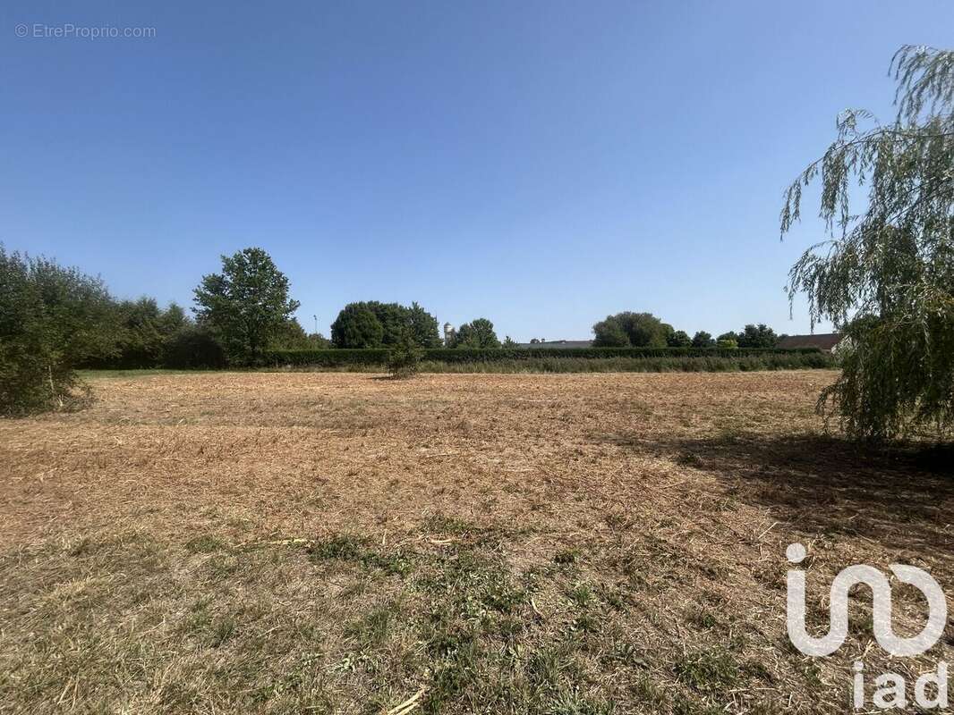 Photo 5 - Terrain à SAINT-VIATRE