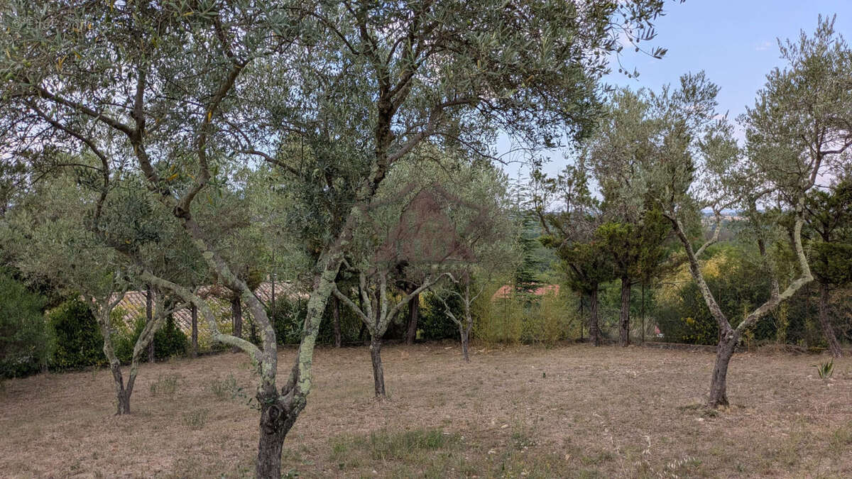 Maison à SAINT-AMBROIX