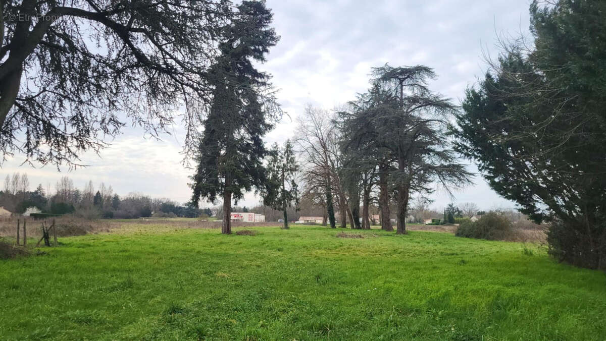 Terrain à BORDEAUX