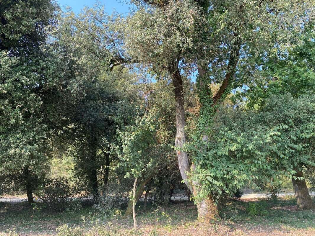 Maison à LA BARRE-DE-MONTS