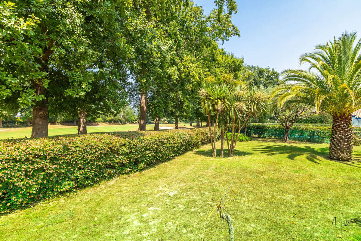 Maison à BASSUSSARRY